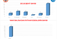 2018 Şehit ve Mavi Balina İntihar Karşılaştırması