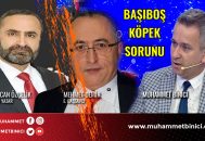 Başıboş Köpek Terörü Muhammet Binici ile Gece Ajansının Kadrajında