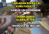 Tarladan Sofraya Kuru Fasulyenin hikayesi-Asırlık Un Değirmeni – Gemin Deresi Alabalık Tesisi