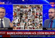 Başıboş Köpek Sorunu – Emeklilerin Durumu – Dr. Ercan Özçelik Muhammet Binici – 14 Temmuz 2023